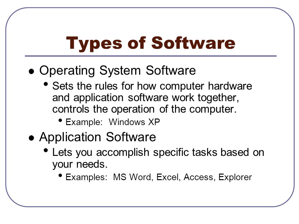 What Are Two Types of Software?